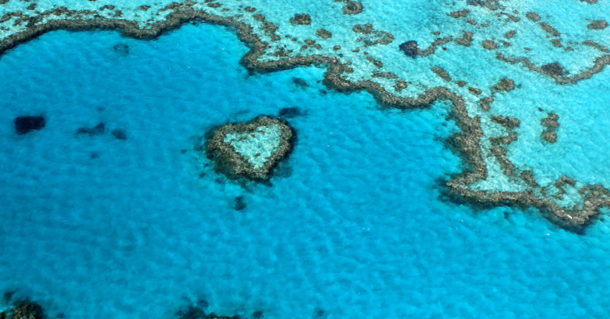 The Great Barrier Reef.