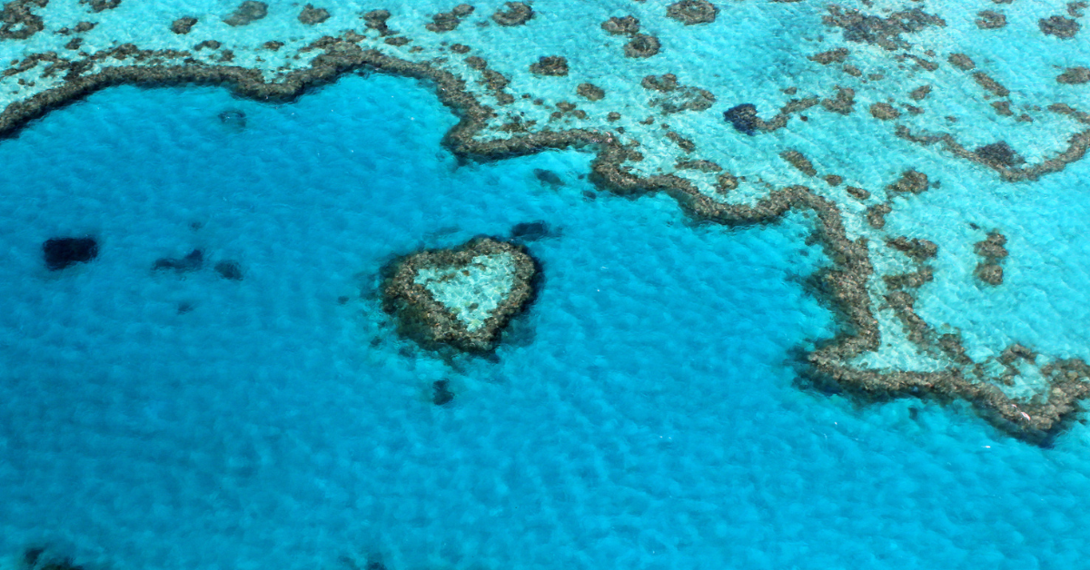 Aged Care, the great barrier reef